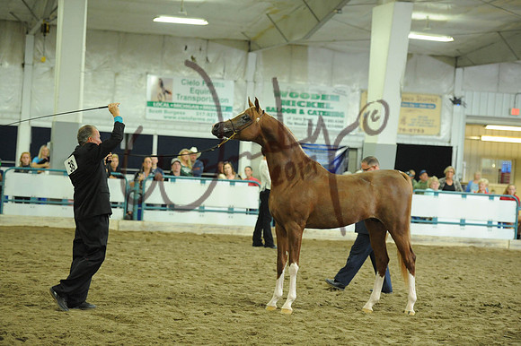100_4204-PROOF_Do_not_copy