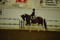 107. Walk Trot Hunter Pleasure – 10 & Under