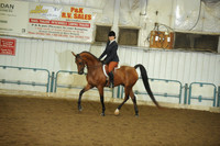 108. NSH Hunter Pleasure Amateur