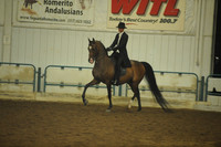 111. AHA Saddle Seat Medal
