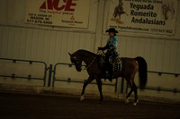 108 Arabian Western Pleasure JOTR 13 & Under
