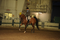 100 Arabian Hunter Pleasure Ladies & Gentlemen