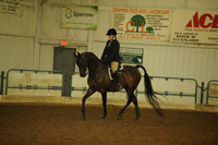 116. HA/AA Hunter Pleasure – Select Rider ATR