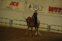 118 Arabian Western Pleasure