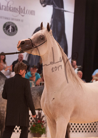2017Scottsdale-5633-PROOF_Do_not_copy