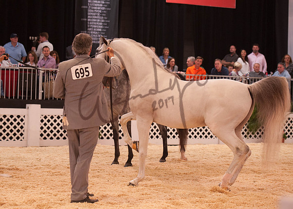 2017Scottsdale-5645-PROOF_Do_not_copy