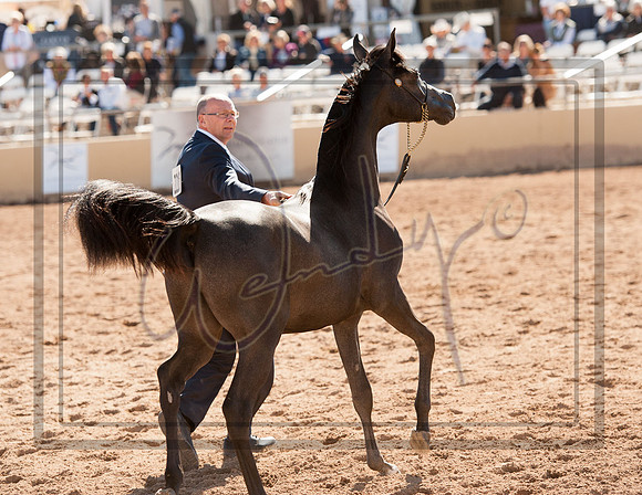 2017Scottsdale-5510PROOF