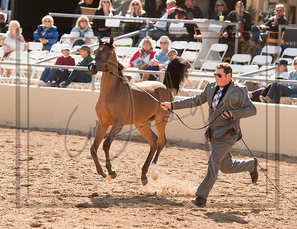 2017Scottsdale-5552PROOF