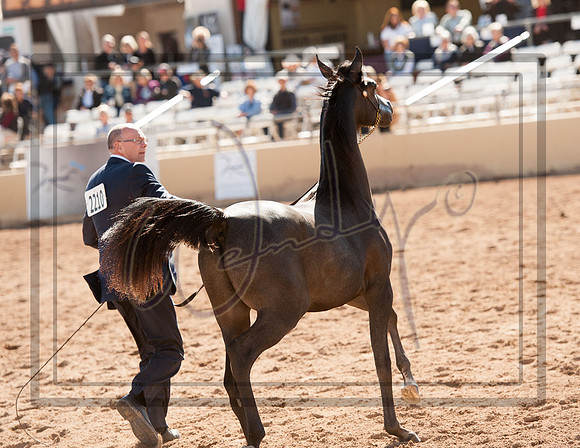 2017Scottsdale-5511PROOF