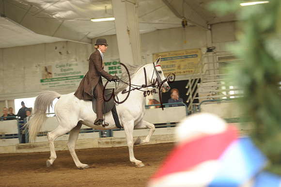 123_8431