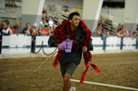 Stick Horse