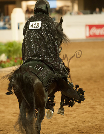 2017Scottsdale-7063-PROOF_Do_not_copy
