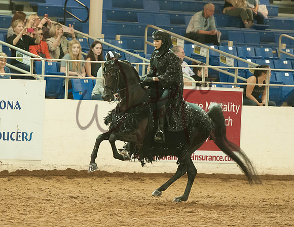 2017Scottsdale-7086-PROOF_Do_not_copy