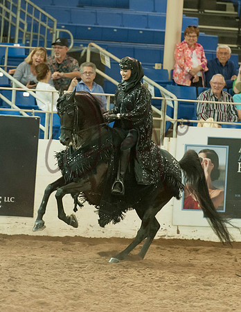 2017Scottsdale-7171-PROOF_Do_not_copy