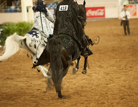 2017Scottsdale-7064-PROOF_Do_not_copy