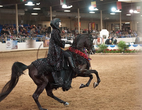 2017Scottsdale-6619-PROOF_Do_not_copy