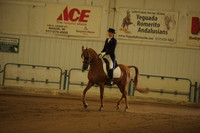 89 Arabian Show Hack ATR