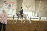 7 Arabian Hunter Pleasure JTR 14-18