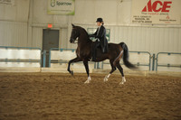 9 HA/AA Hunter Pleasure