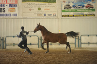 8 HA/AA Yearlings & Under
