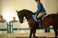 76. HA/AA Hunter Pleasure Junior Horse