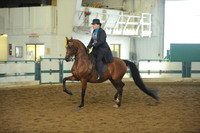 94. Arabian Country Pleasure - Open