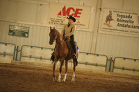 73 AC Western Equitation Walk Trot