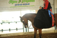 67. Arabian Sidesaddle - AOTR
