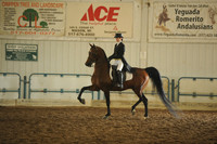 74. HA/AA Show Hack Open