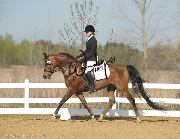 2018AHAM_May-9248HighRes300dpi_PRINTto10%22