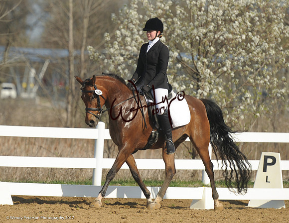 2018AHAM_May-9244HighRes300dpi_PRINTto10%22
