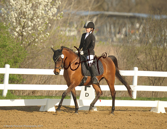 2018AHAM_May-9132HighRes300dpi_PRINTto10%22