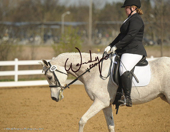 2018AHAM_May-9335HighRes300dpi_PRINTto10%22