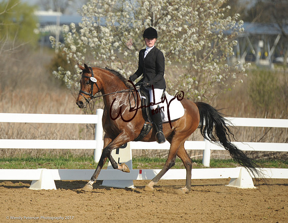 2018AHAM_May-9239HighRes300dpi_PRINTto10%22