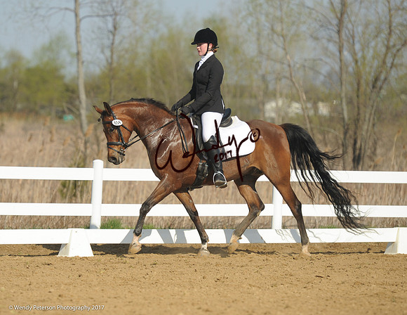 2018AHAM_May-9246HighRes300dpi_PRINTto10%22
