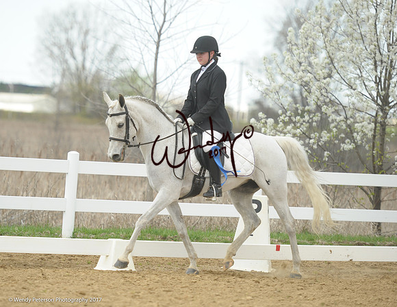 2018AHAM_May-0002HighRes300dpi_PRINTto10%22