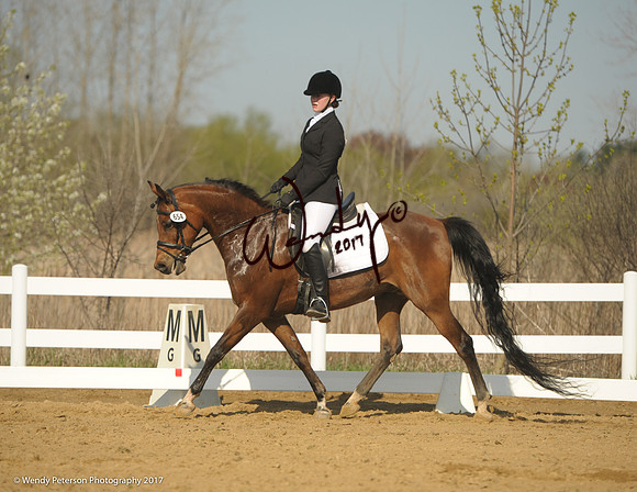 2018AHAM_May-9253HighRes300dpi_PRINTto10%22