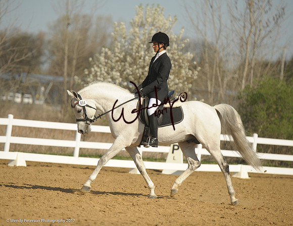 2018AHAM_May-9312HighRes300dpi_PRINTto10%22