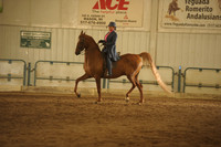 74 UPHA Challenge Cup Saddle Seat Equitation 17 & Under