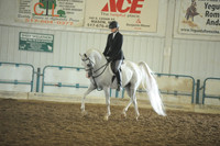 96. Arabian Hunter Pleasure – JOTR 13 & Under