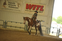 90 HA/AA Western Pleasure ATR