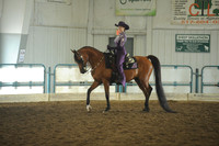 95. Western Horsemanship 14-18