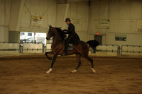 94 HA/AA Country Pleasure Junior Horse
