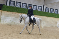 679 Dressage Seat Equitation JTR