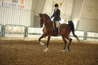 2 NSH Hunter Pleasure Open