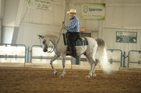 10 Arabian Western Pleasure Ladies & Gentlemen