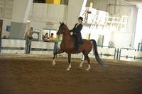 19 Saddle Seat Equitation 13 & Under
