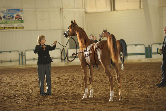 212_5663