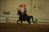 148 HA/AA COUNTRY PLEASURE CHAMPIONSHIP JTR
