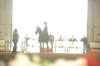 143 Western Horsemanship Medal Class